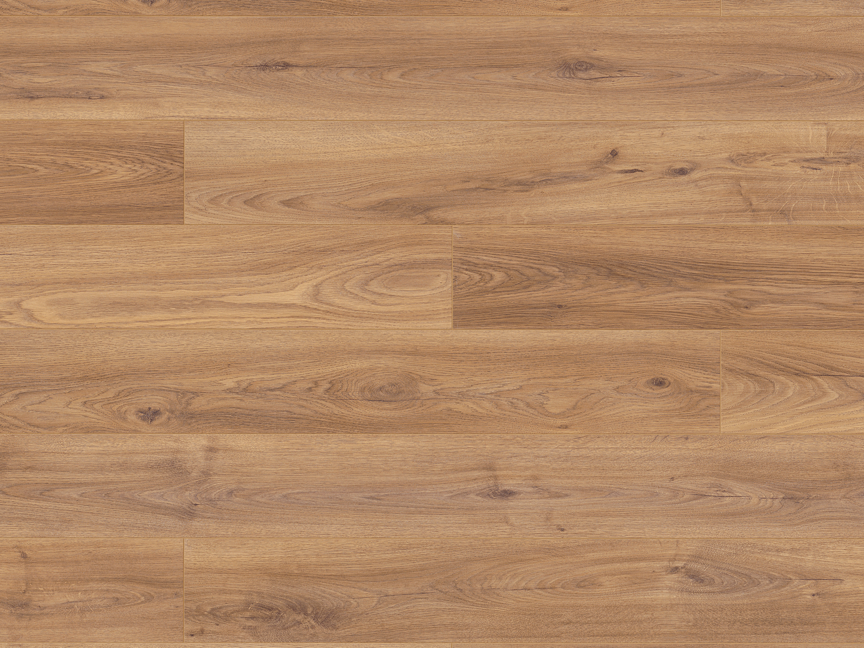 Laminatboden KronoOriginal® Atlantic 12 - Firebrand Oak K450 - 12 mm - MO.RE! Moisture resistant