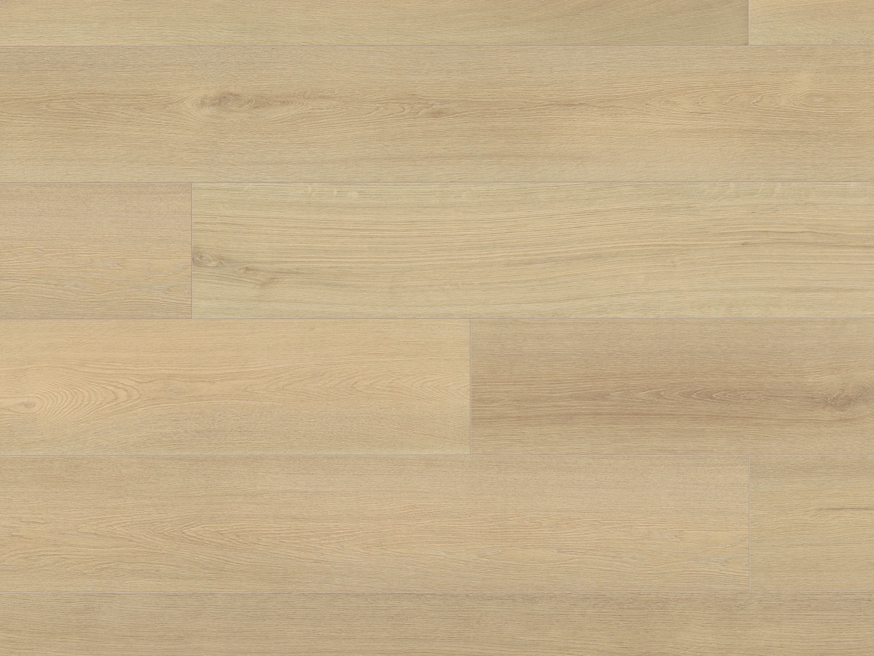 Blonde Montreux Oak K659 Laminat Langdiele mit Fase Altitude 12 - mit MO.RE KronoOriginal®