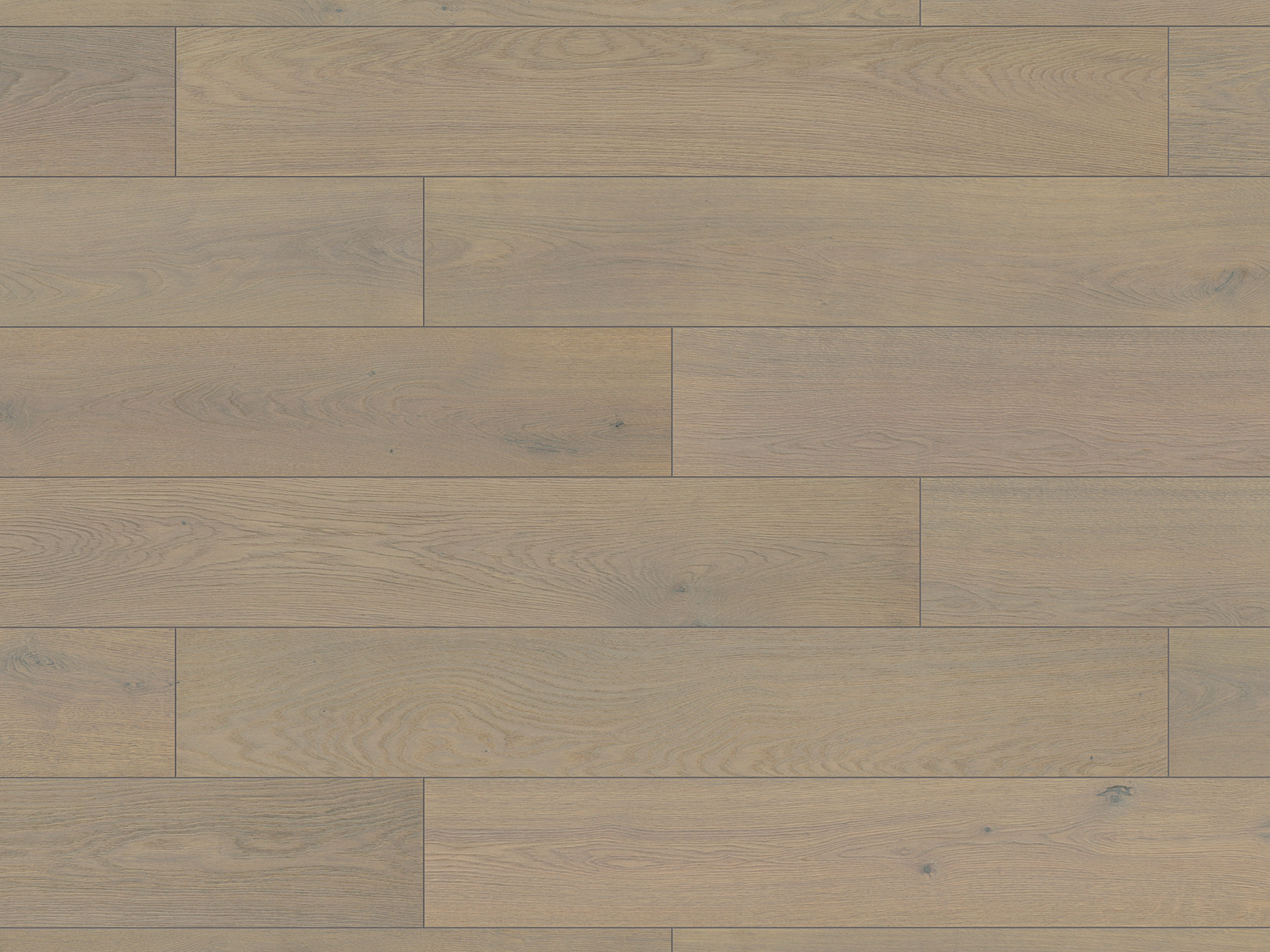 Copper Ethereal Oak K665 Landhausdiele Laminat mit Fase Atlantic 10 - mit MO.RE KronoOriginal