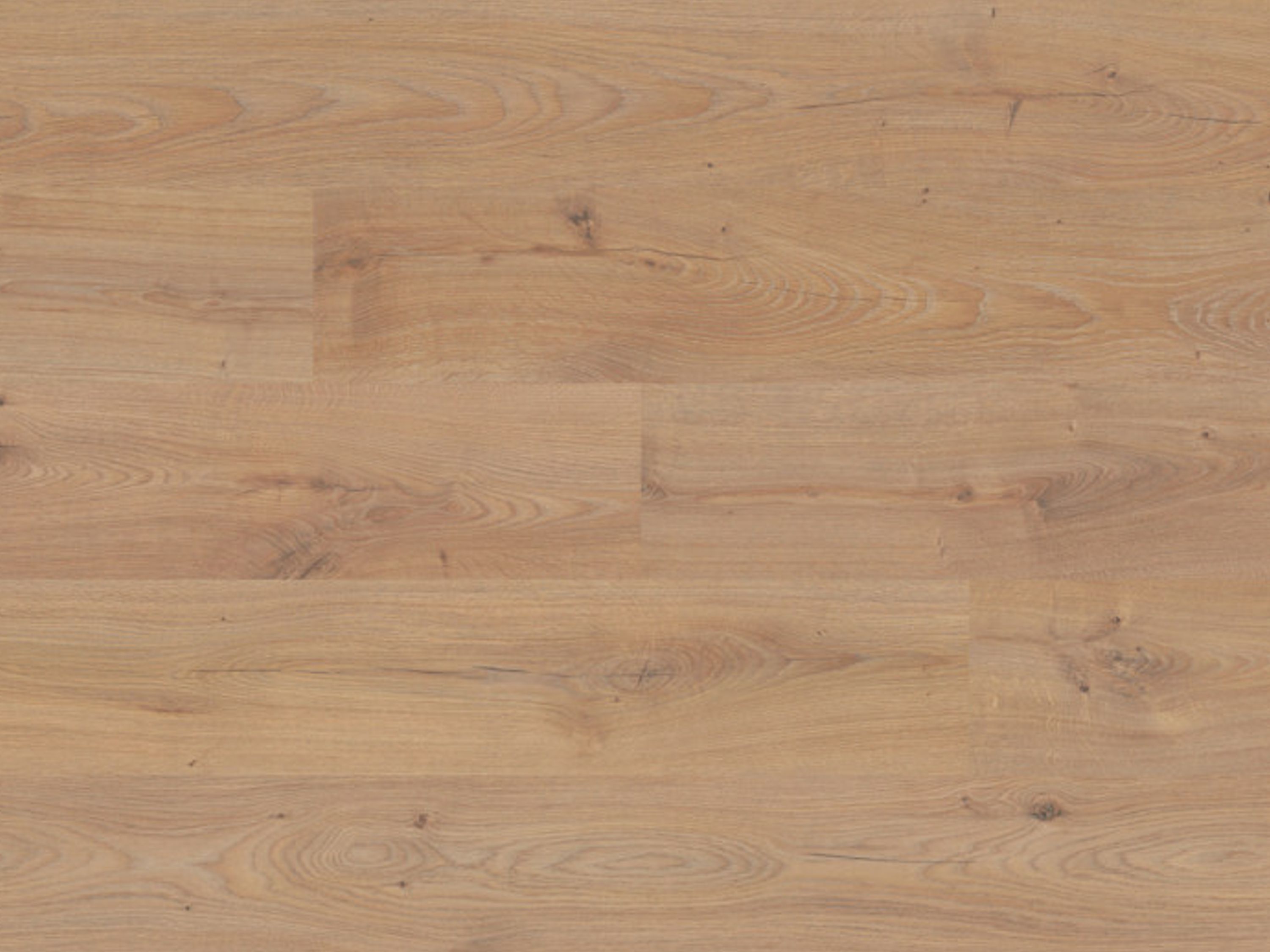 Laminatboden TRECOR® Classic - Timber Oak Nr. 5945 mit Klicksystem 7 mm Stark