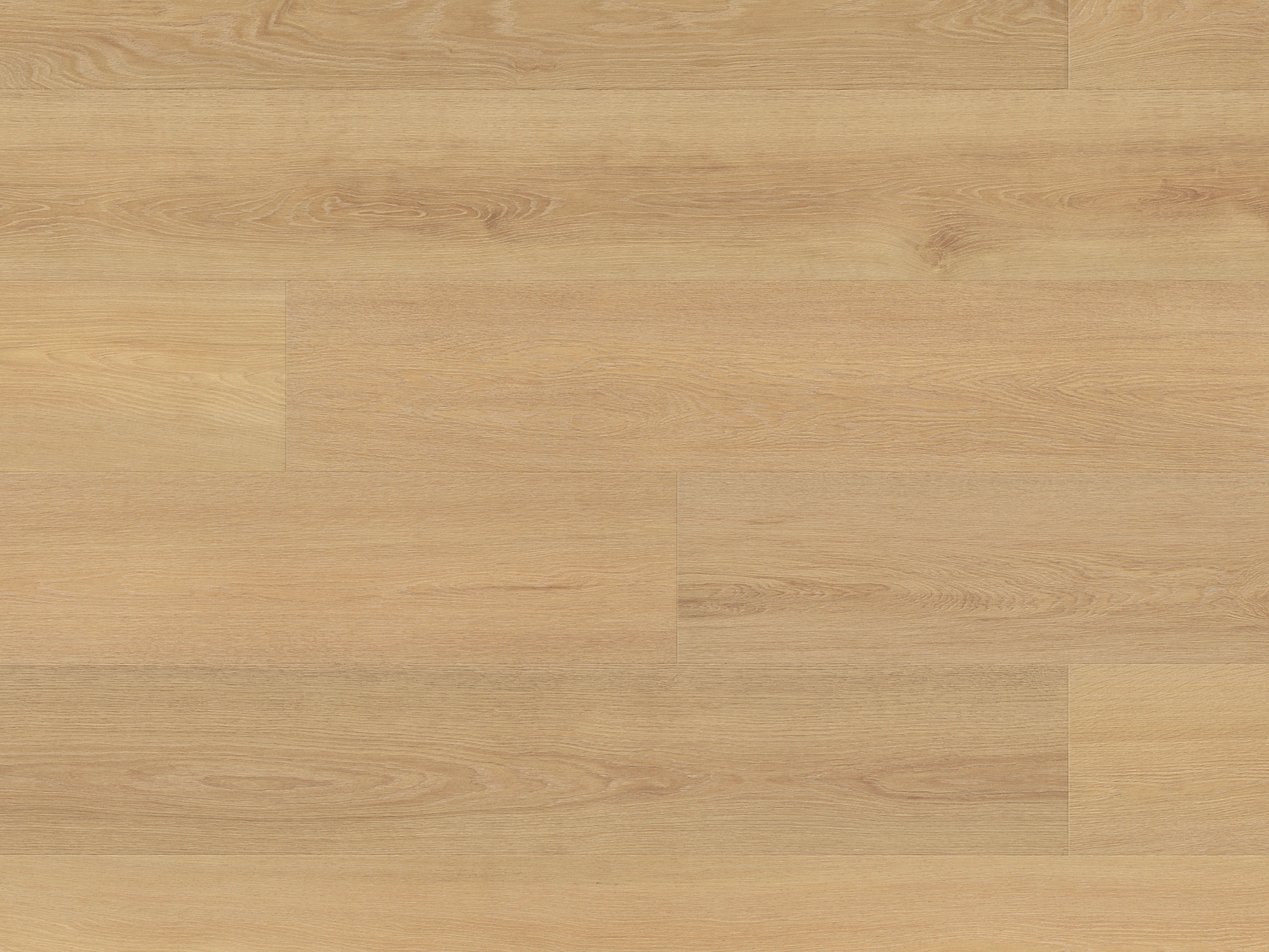 Honey Montreux Oak K657 Laminat Langdiele mit Fase Altitude 12 - mit MO.RE KronoOriginal®