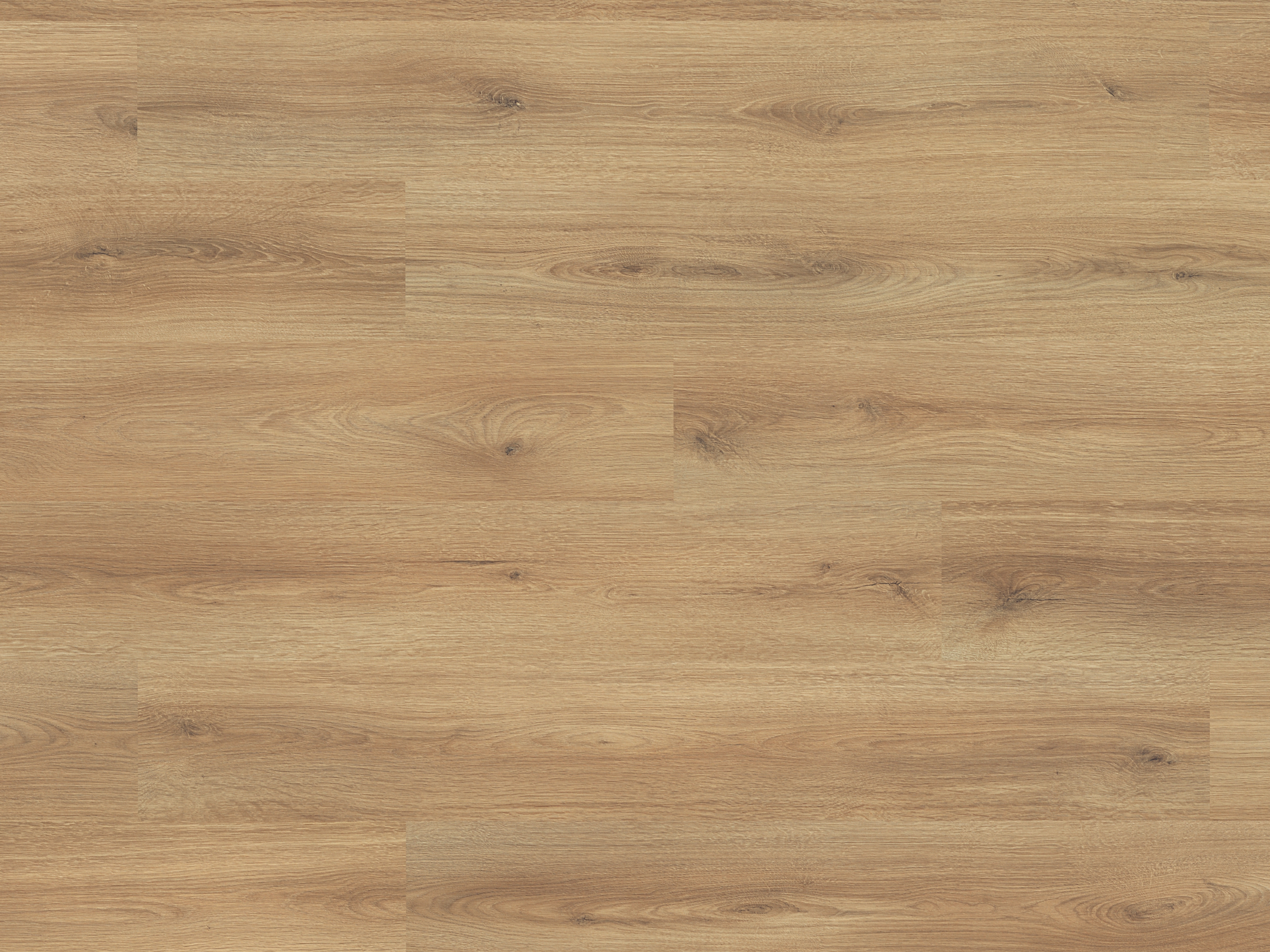 Laminatboden Classic Sand Cantal Oak K654 mit Klicksystem 7 mm Stark