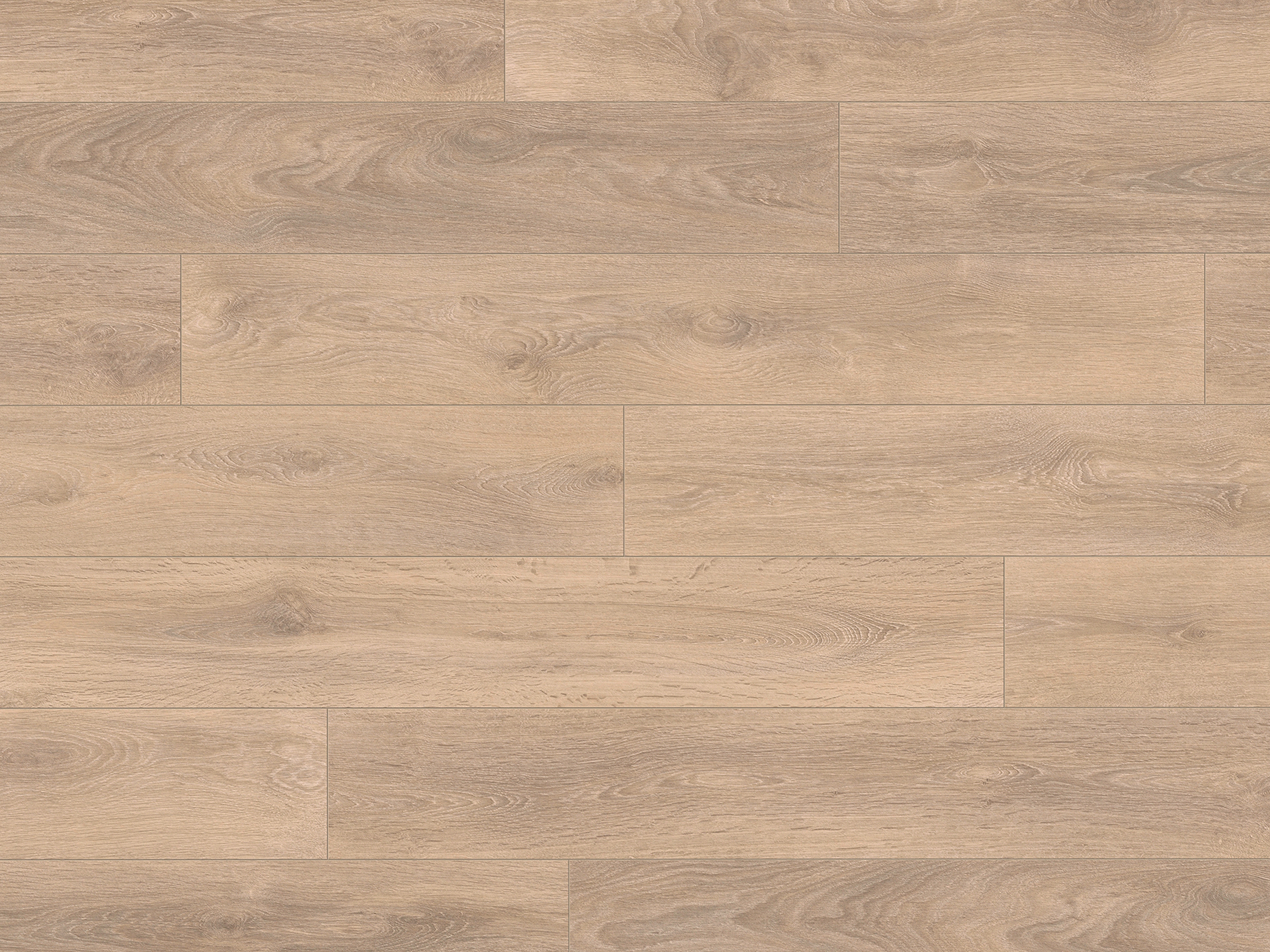 Laminatboden Blonde Oak 8575 (LP) Super Natural Classic by KronoOriginal, Stärke: 8 mm